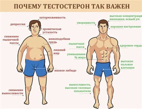 Тестотерон – Telegraph