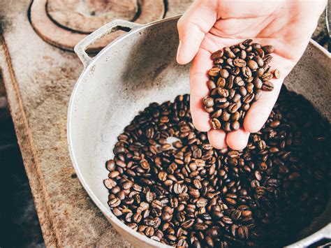 7 Costa Rica Coffee Tours that Will Elevate Your Palate | Vacasa