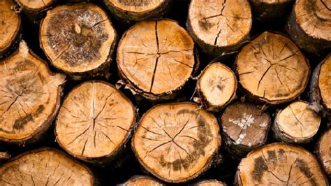 logs – Connon Brothers