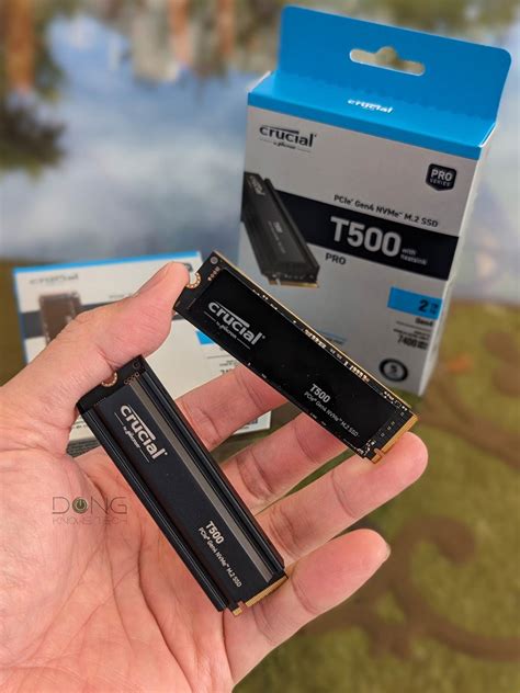 Crucial T500 Review (vs T700): A Solid Performance Alternative | Dong ...