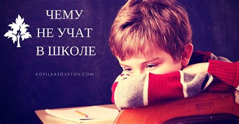 Чему не учат в школе