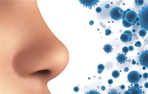 Nostril 이미지 – 찾아보기 27,098 스톡 사진, 벡터 및 비디오 | Adobe Stock