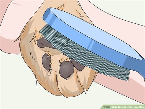 how to cut dog paw hair