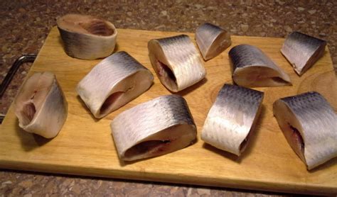 Сельдь залом - описание рыбы, места обитания, как засолить