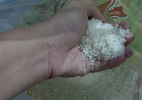 Scientists work to remove chalkiness in rice, improve yield - Worldnews.com