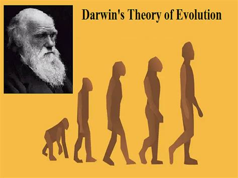 Charles Darwin: Theory of Evolution and Natural selection