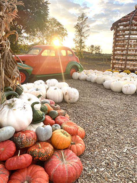 Fall Festivities - Two River Times