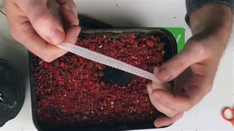 Как приготовить стик-микс для ловли карпа своими руками