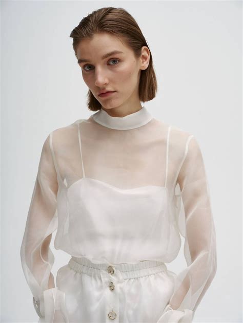 Organza blouseL | Organza blouse, Sheer blouse outfit, Blouse