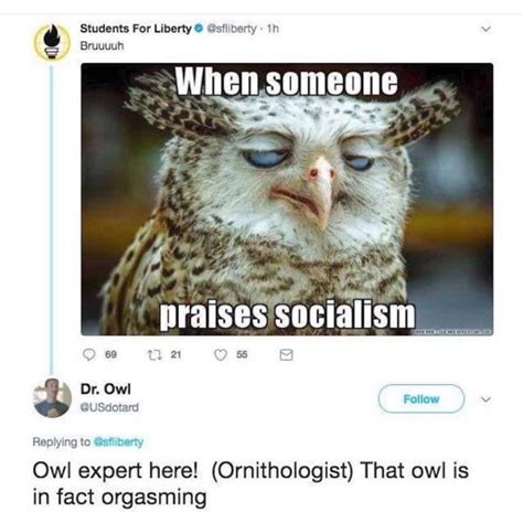 correct meme  boganboy memedroid