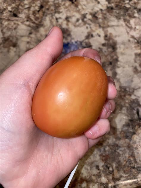 bad tomato’s : r/hellofresh