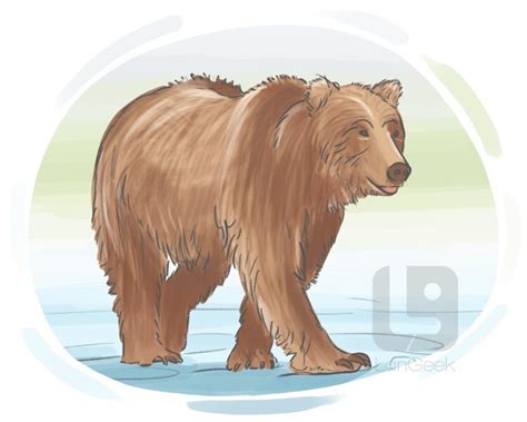 Definition & Meaning of "Bear" | LanGeek
