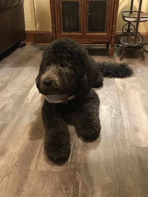 Readers are sharing moss service funeral home obituaries online 15