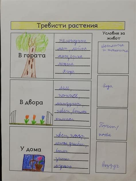Тревисти растения - в гората, в двора, у дома - Екип 3 - Ourboox