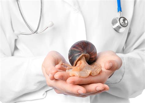 Possíveis caminhos para uma vacina contra esquistossomose | Portal WeMEDS