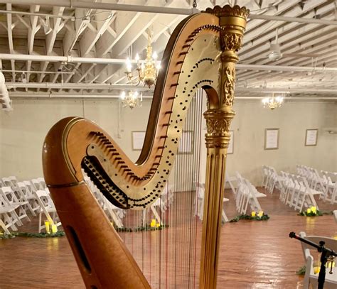 Legacy Musical Arts Music Studio