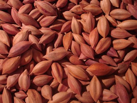 Health benefits of pili nuts