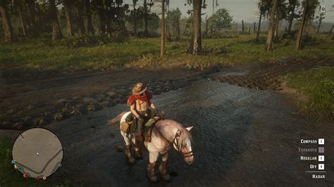 Possible AMD+Vulkan (or RDR2 implementation) tessellation issue ...