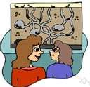 Acquainted - definition of acquainted by The Free Dictionary