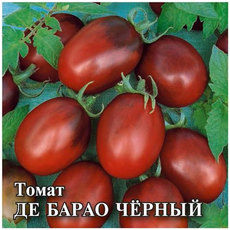 Семена томат Де барао черный "СадОк" | отзывы