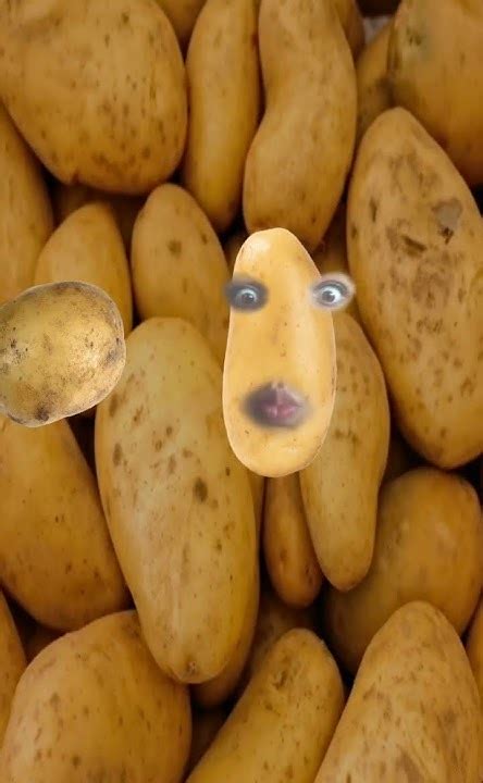 de junho de  youtube