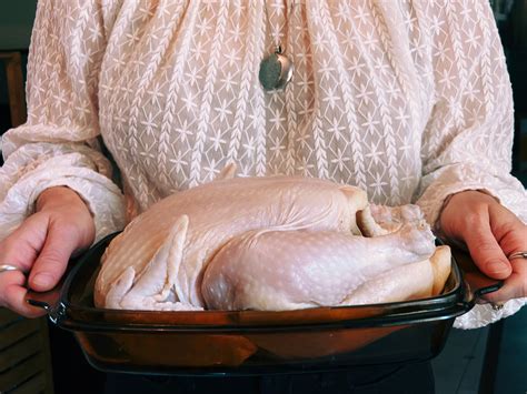 Free Regenerative Meat Stock Guide — Regenerative Cooking School