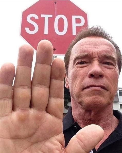 Pin on Bates Motel | Memes, Arnold schwarzenegger, Funny memes