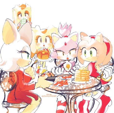 amy rose, blaze the cat, rouge the bat, cream the rabbit, and vanilla