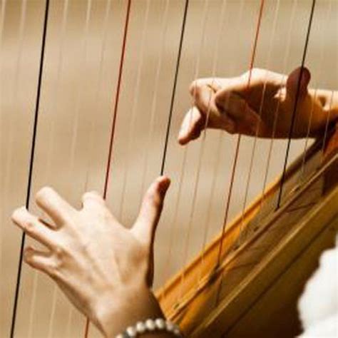 Interesting Facts About the Harp Instrument | Personaggi, Idee