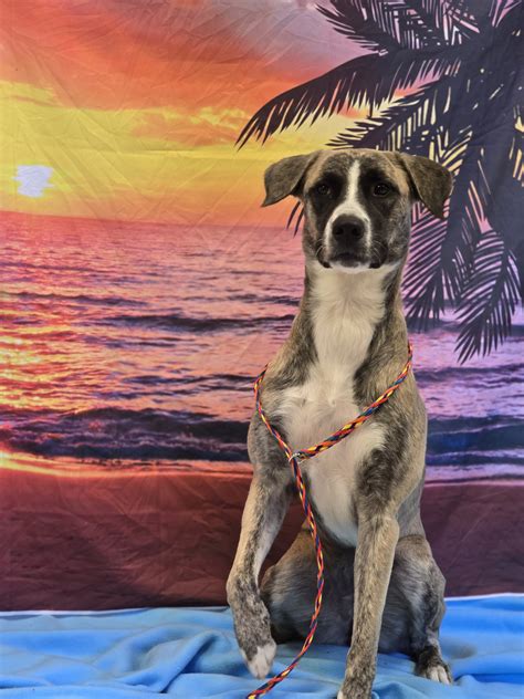 Current Obituaries and Tributes from Belton, Texas 3