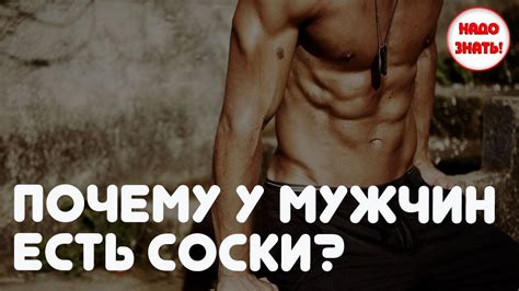 Почему у мужчин есть соски? - YouTube