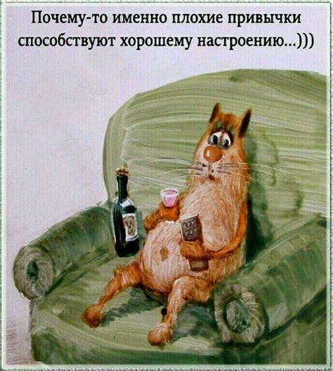 Pin von Мария auf Картинки | Blaue katzen, Lustig, Witzig