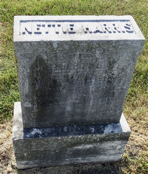 Abbie Janette “Nettie” Harris Carrier (1855-1920) – Memorial Find a Grave