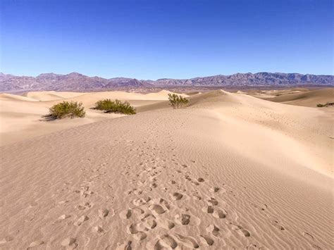 exploring  mesquite flat sand dunes  discoveries