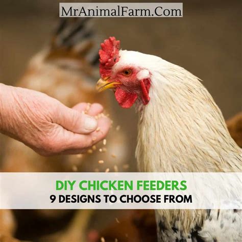 DIY Chicken Feeder Ideas - 9 of the BEST DIY Chicken Feeders