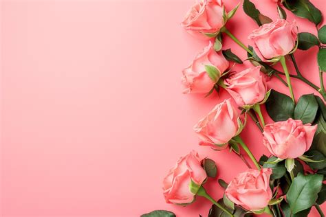 Pink Flower Border Stock Photos, Images and Backgrounds for Free Download