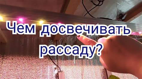 Фитолампы для растений от Минифермер.ру - YouTube