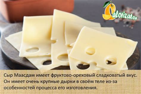 Сыр Маасдам - калорийность, полезные свойства, польза и вред, описание ...