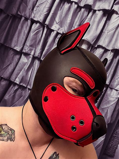 Riding my puppy : r/PupPlay