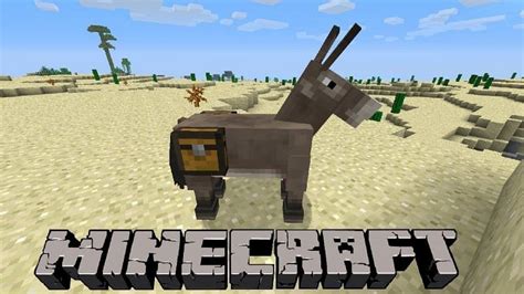 how to find donkeys in minecraft