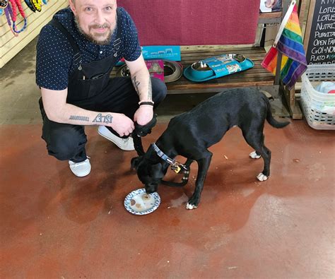 healthy pets northwest 5