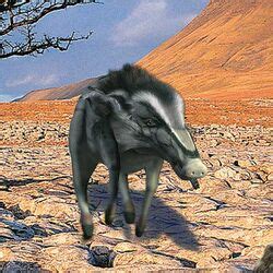 booley aruya wiki fandom