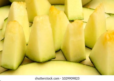 melon skin toad santa claus stock photo  shutterstock