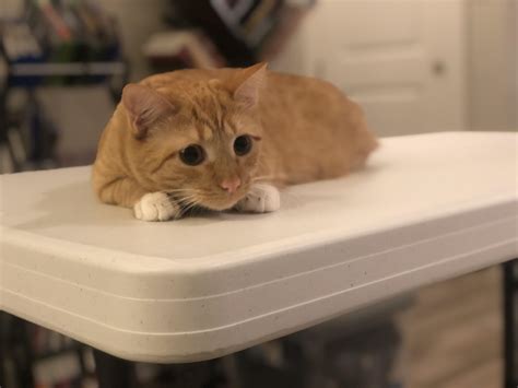 Is Nala Fitness Hiding Something? This Leak Will Shock You. Image 13