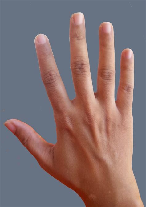 Hand Readings of famous people: Photograph samples