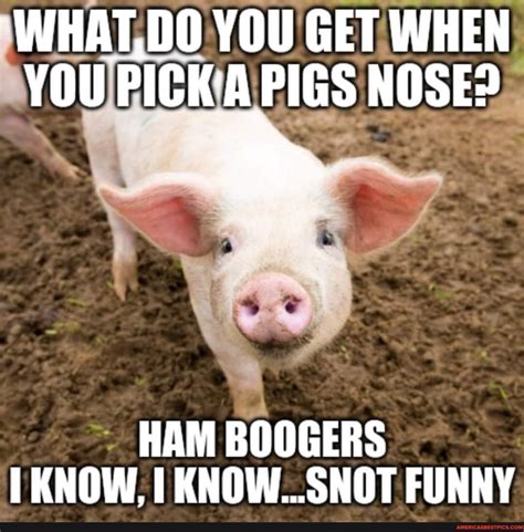 Tap to see the meme | Funny jokes for kids, Dad jokes funny, Funny ...