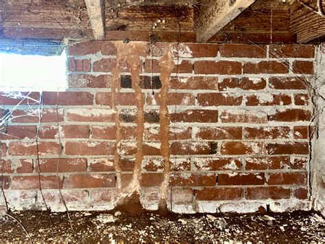 Do I Need Termite Protection?