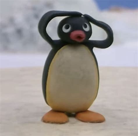 pin  pingu