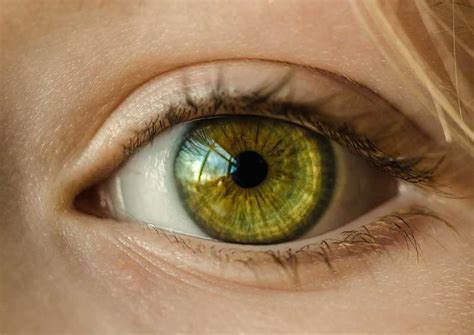 Yoga for Myopia (Short-Sightedness) and its Remedies