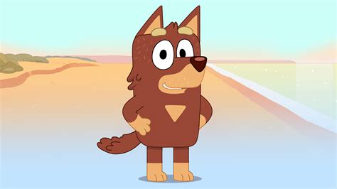 celebrating  dads  bluey bluey official website